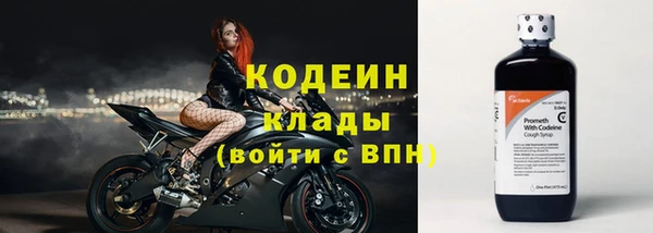 мдпв Пересвет