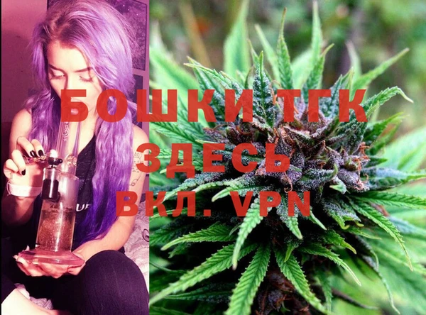 мдпв Пересвет